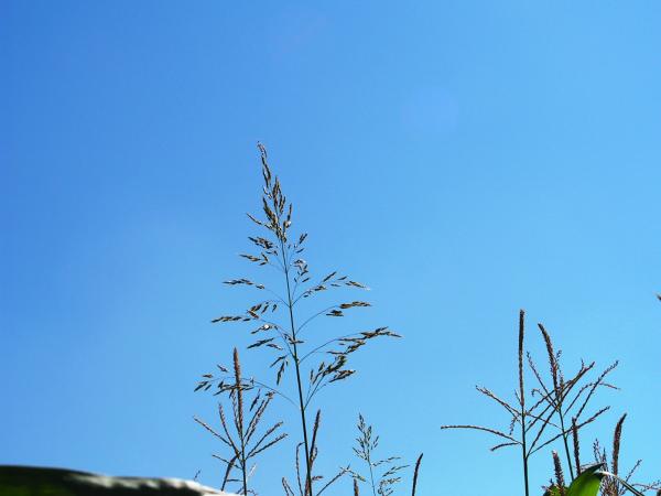 Schöner blauer Himmel