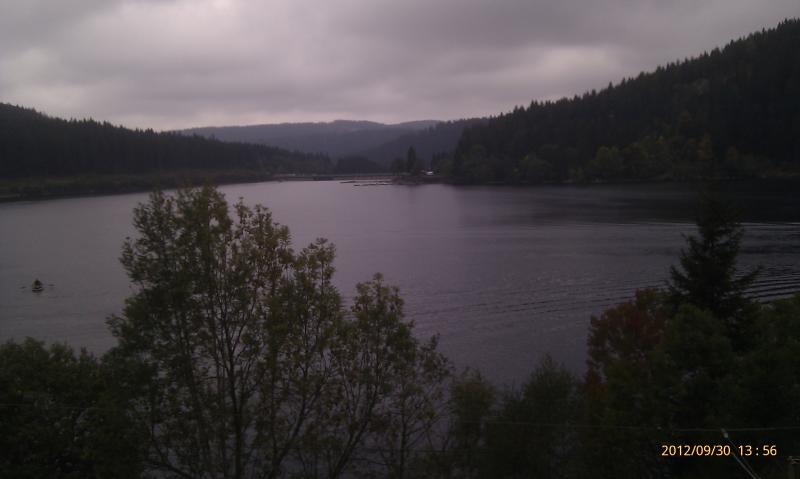 Schwarzwald Schluchsee