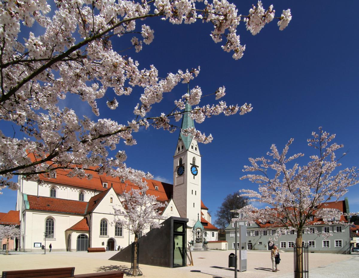 SMK StMangplatz Blueten063