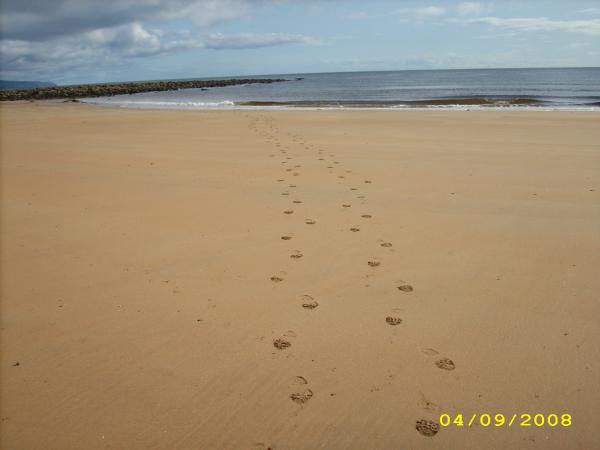 Strand bei BRORA