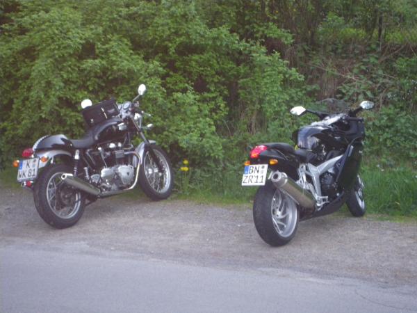 Thruxton und Devildog bei Zur Klus