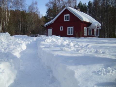 Vinter 2010