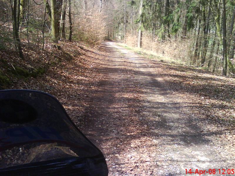 wunderbarer waldweg