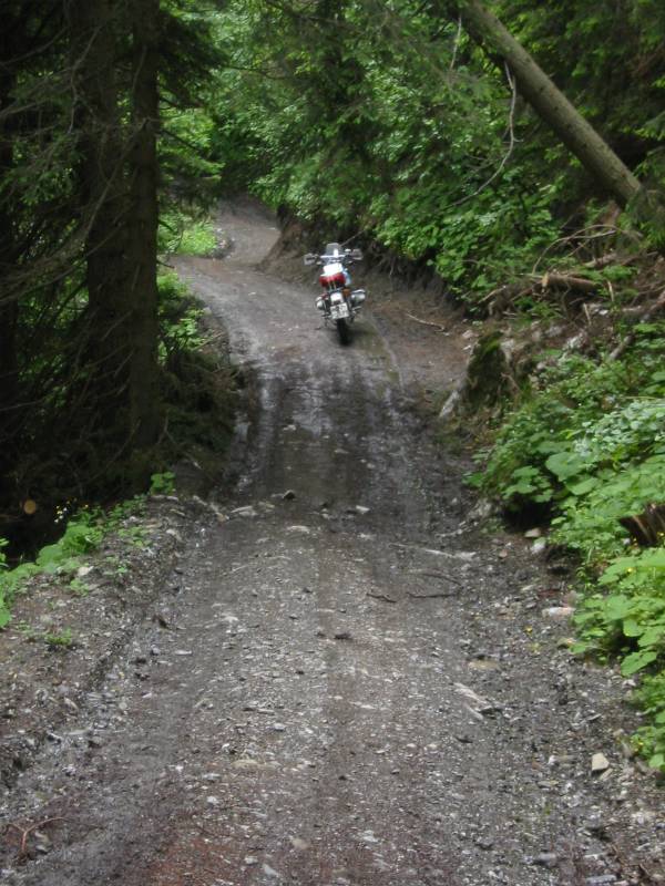 ziemlich steile und feuchte (nach unwetter) strasse im friuli